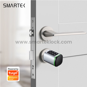SMARTEK S1K رمز المرور RFID IC بطاقة مفتاح TTLOCK APP BLE قفل اسطوانة ذكي للباب لاستبدال الأسطوانة الميكانيكية القديمة