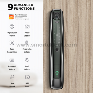 Seguridad inteligente, aleaci&oacute;n de aluminio, electr&oacute;nica, sin llave, impermeable, antirrobo, Digital, recargable, llave de puerta, v&iacute;deo de emergencia con huella dactilar